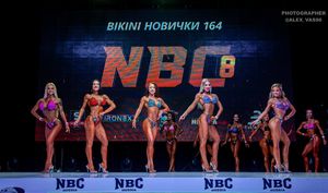 BIKINI НОВИЧКИ 164